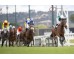  Carrera: P.Ercolini Monta: R.Sousa Caballo: Rojiblanco